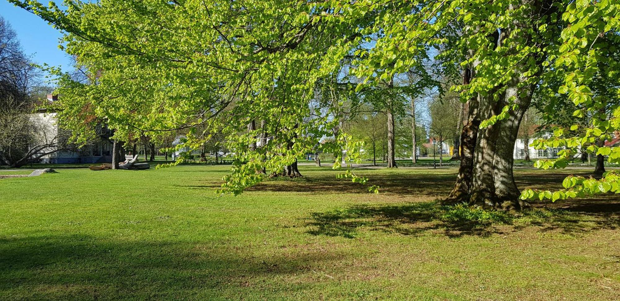 Moessebergs Vandrarhem Falköping Εξωτερικό φωτογραφία